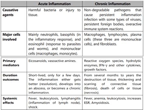 Inflammation Definition Etiology Type Basic Mechanism