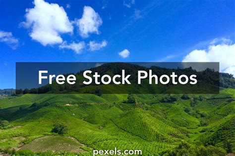 10000 Best Hills Photos · 100 Free Download · Pexels Stock Photos