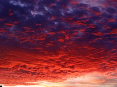 Free Photo Red Sky Nature Red Sky Free Download Jooinn