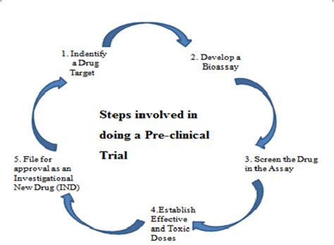 Steps Involved In Doing A Pre Clinical Trial Download Scientific Diagram
