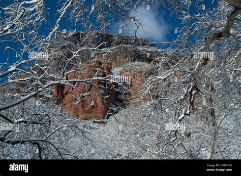 Overnight Snowfall Turns The Red Rocks Of Sedona Into A Blanketed