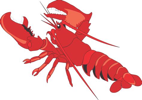 Download High Quality Lobster Clipart Angry Transparent Png Images