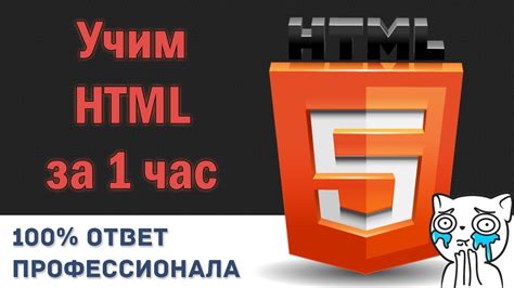 Как выучить Html за 1 час от профессионала Html как создать свой