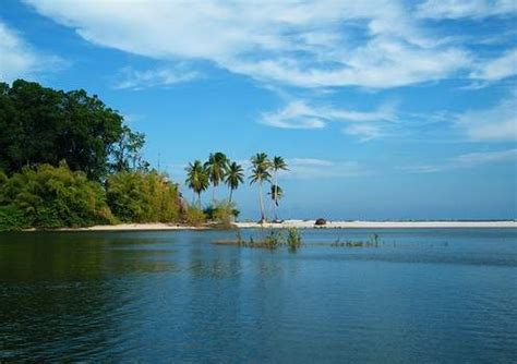 Brasil) is the largest country in south america and fifth largest in the world. Isla de Marajó (Brasil) - EcuRed