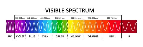 Spectrum Wavelength Visible Spectrum Color Range Educational Physics