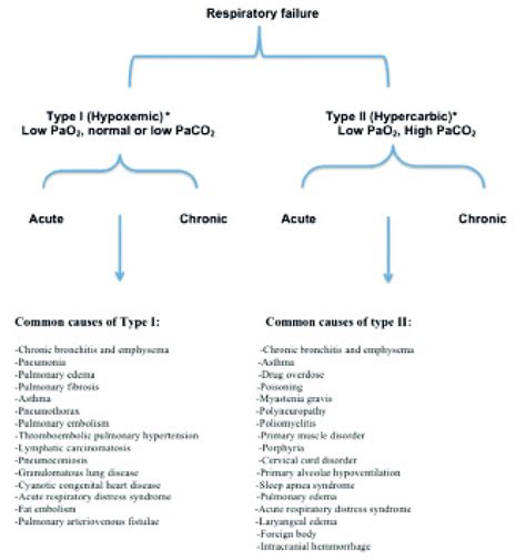 Classification And Common Causes Of Respiratory Failure Note