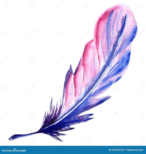 Watercolor Illustration Of Pink Purple Feather Stock Illustration