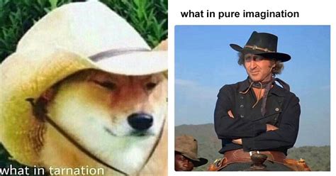 2017 In Review The 20 Best What In Tarnation Memes