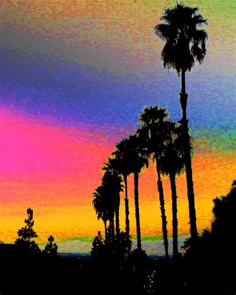 Palm Tree Rainbow Sunset Photograph By Andrew Lawrence