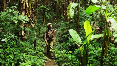 Jungle trekking in Laos | Travel | The Sunday Times