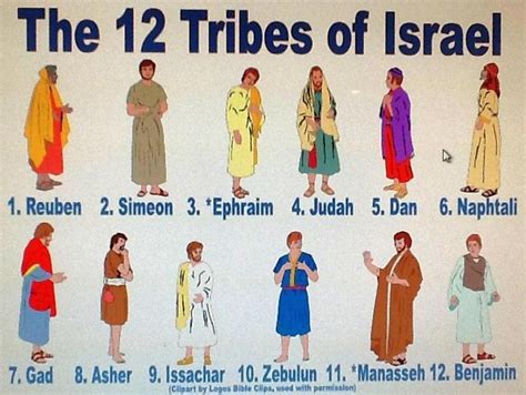 The First Israelites Alliecats History Facts