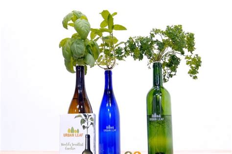 New Product Turns Wine Bottle Into Herb Garden