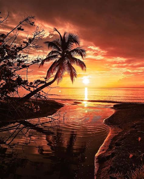 #paisajes #atardecer | Paisaje atardecer, Paisajes ...