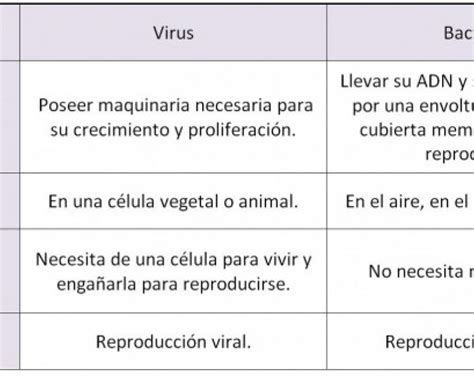Diferencias Entre Virus Y Bacterias Cuadro Comparativo