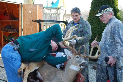 New Ohio Muzzleloader Record Could Have Longest Main Beams Ever Recorded