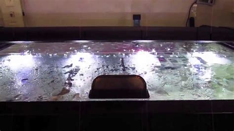 Diy Sliding Glass Aquarium Tops Youtube