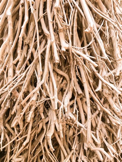 Wooden Twigs Background Free Stock Photo Public Domain Pictures