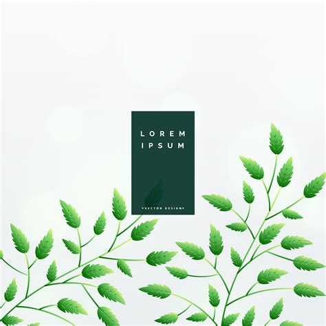 Elegant Green Leaves Background Design Download Free