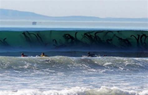 15 Scary Ocean Pics That Prove Deep Waters Can Be A Terrifying Place