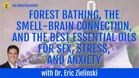 forest bathing the smell brain connection and the best essential oils for sex stress and