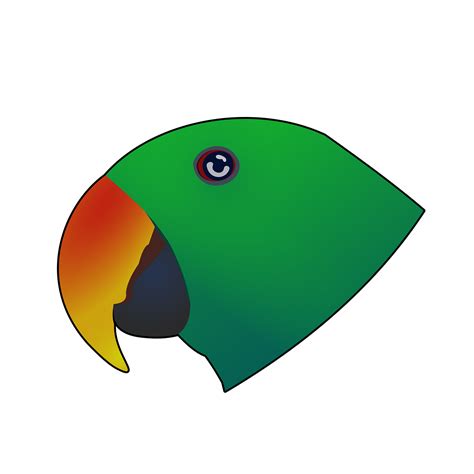 Download Free Photo Of Eclectus Bird Parrot Beak Eccy From