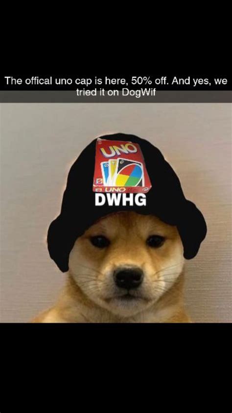Dog Wif Hat Meme Pin By Venox One On Dog With Hat Ganrisna