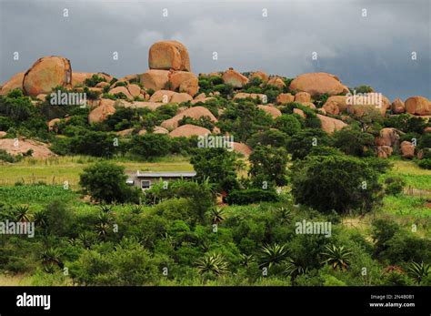 The Village Of Mashashane In Limpopo Is Charactarised By Beautiful Rock