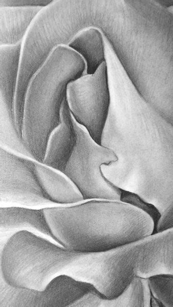 Imagine replicating your flowers in the form of flower drawings! How to Draw a Rose | Drawing for beginners, Graphite ...