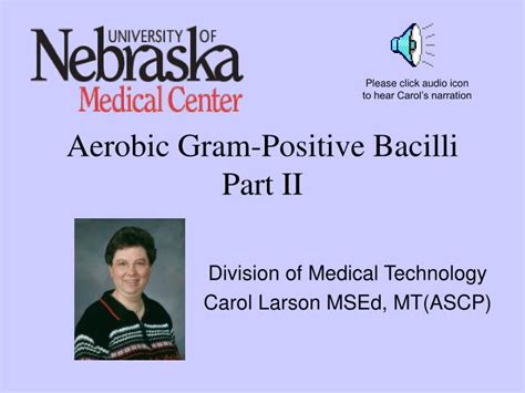 Ppt Aerobic Gram Positive Bacilli Part Ii Powerpoint