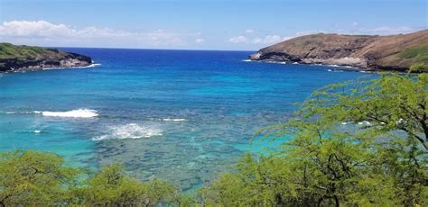 Hanauma Bay Snorkeling A Complete Visitor Guide Planning Away