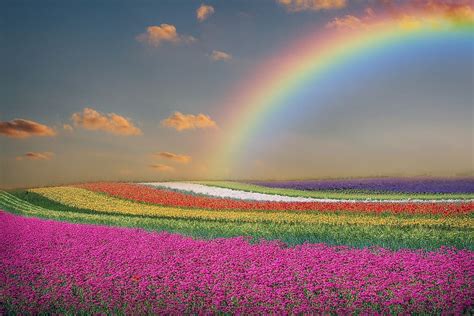 Hd Wallpaper Spring Landscape Flowers Rainbow Sky Clouds Colorful Wallpaper Flare