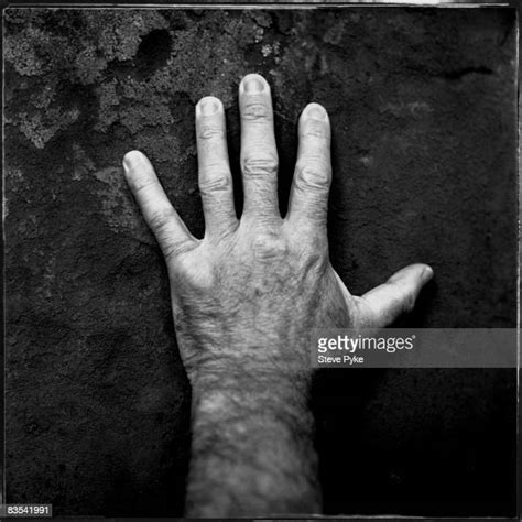 Richard Serra Steve Pyke Photos And Premium High Res Pictures Getty