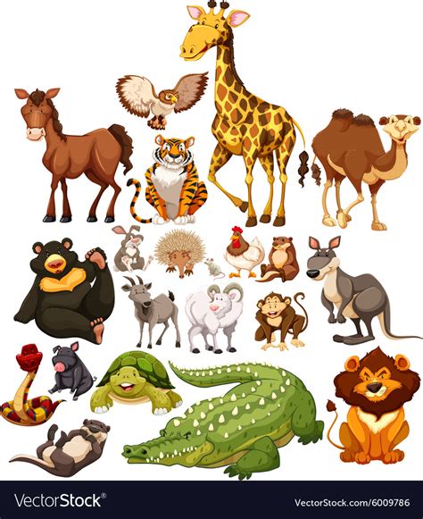 Different Type Of Wild Animals Royalty Free Vector Image