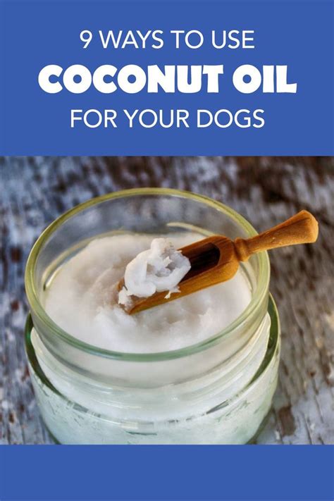 Benefits Of Using Coconut Oil On Your Dog Coconut Oil For Dogs Dog
