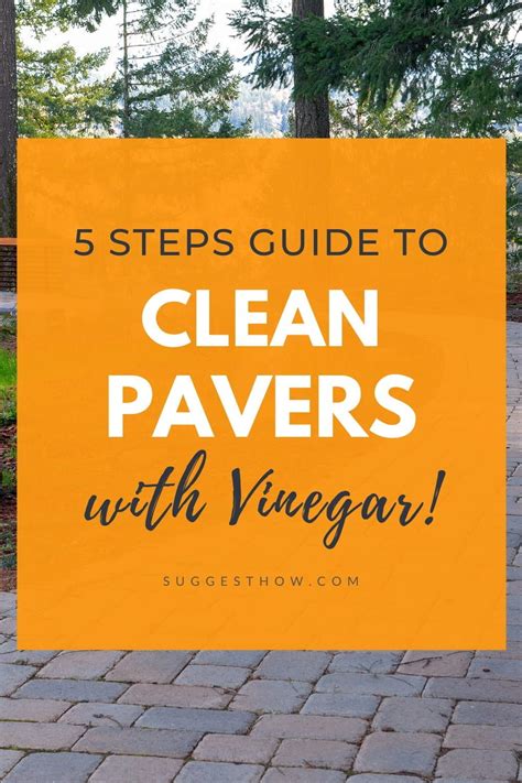 Bring vinegar to a boil, then carefully use the warm vinegar to wipe down the shower door and walls. Pin on Cleaning With Vinegar