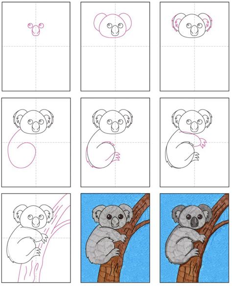Simple Koala Bear Drawing