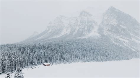 Winter Scene Mountain Base Forest Cabin 4k Ultra Hd