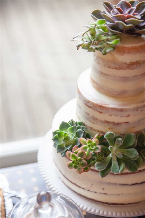 Cake Bloom Succulent Cake Wedding Cake Fresh Flowers Gorgeous Wedding Cake