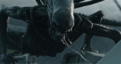 The film's title refers to its primary antagonist: It's Time for Ridley Scott to Give Up the 'Alien ...