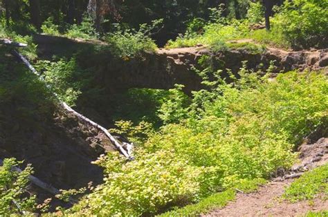 Natural Bridges Ford Pinchot Hiking In Portland Oregon And