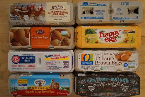 With So Many Claims What Eggs Should I Buy At The Grocery Store