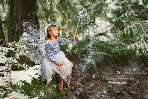 7 Digital Winter Fairy Snow Frost Wing Photoshop Brushes Etsy