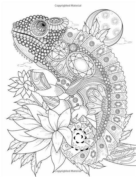 Pin On Best Animal Coloring Pages