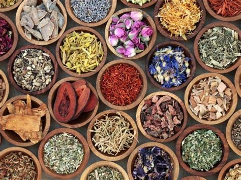 Types Of Herbs And Spices Complete List And Guide Northern Nester