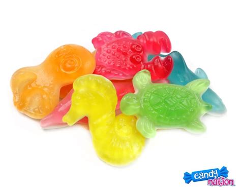 Gummy Ocean Animals Herberts Best