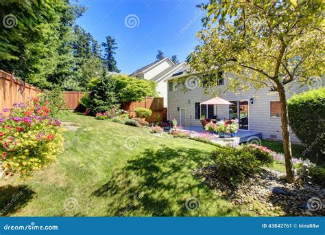 Backyard With Lanscape And Walkout Deck With Patio Area Stock Image