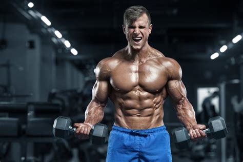 And if they're not readily available from your diet, your body will break down your muscles to get them. Best Pre-Workout Supplements 2019 Edition - Fuel Up For ...