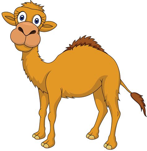Chances are you've seen the insurance commercial starring a camel. Camel clipart camel uae, Camel camel uae Transparent FREE ...