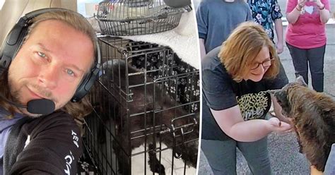 Long-Lost Dog Reunites With His Family After Being Found 10 Years Later