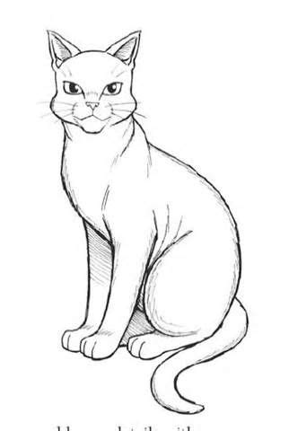 Grumpy cat, maru, cole and marmalade. Image result for warrior cats coloring pages | Warrior cat ...